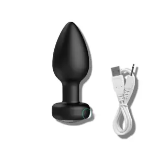A black silicone remote controlled butt plug shown alongside a USB charging cable, highlighting its body-safe material and discreet charging port at the base.