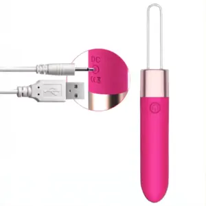 Remote control bullet vibrator with a USB charging cable and close-up of the charging port labeled “DC,” emphasizing ease of charging and wireless functionality.