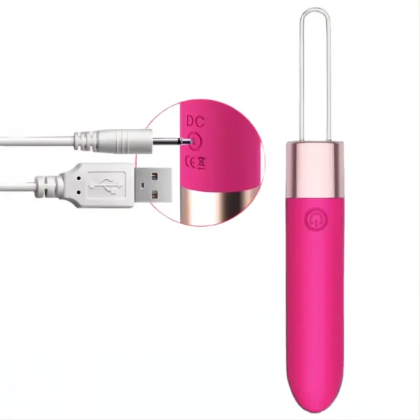 Remote control bullet vibrator with a USB charging cable and close-up of the charging port labeled “DC,” emphasizing ease of charging and wireless functionality.