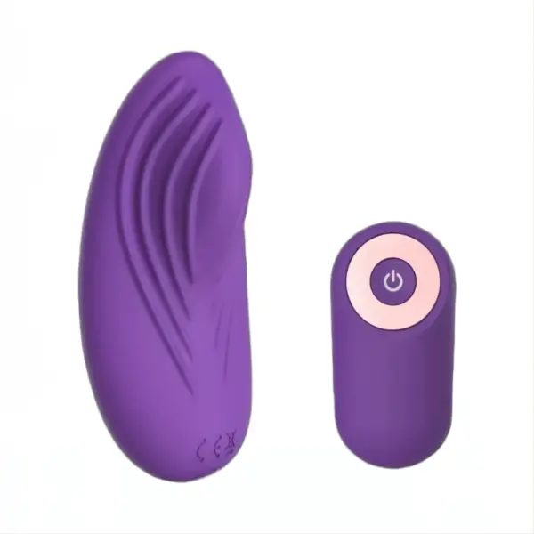Front view of the Secret Purr remote controlled vibrating panties toy, paired with its pink-accented remote control, both in matching purple.