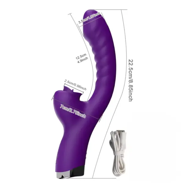 Purple Afternoon Tease dual tongue licking rabbit vibrator beside its USB charging cable, with overlaid dimensions showing 22.5 cm total length, 12.5 cm insertable length, and 2.5 cm tongue width.