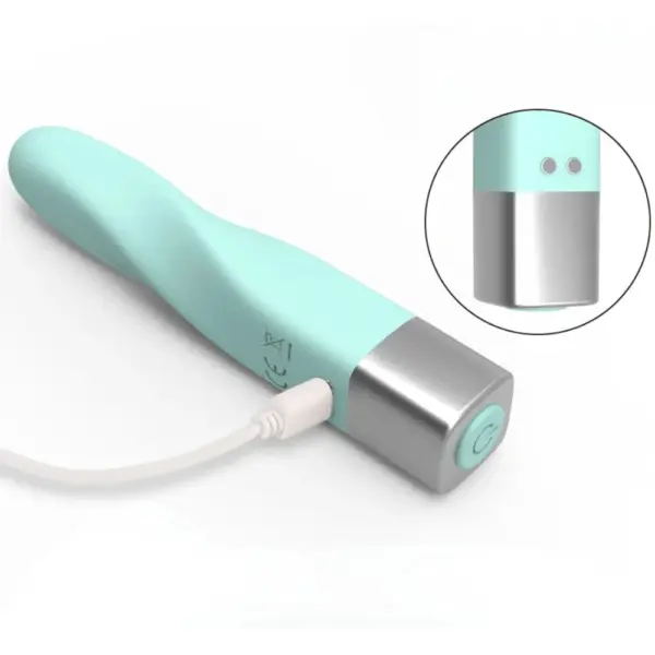 The Pocket Passion USB Rechargeable Mini Bullet Vibrator with USB cable plugged into its side charging port above the silver base, highlighting the DC input.
