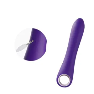 Purple version of the Vibrant Vixen 10 Frequencies Silicone Vibrating Dildo with a close-up of the charging port and cable, highlighting its USB rechargeable feature.
