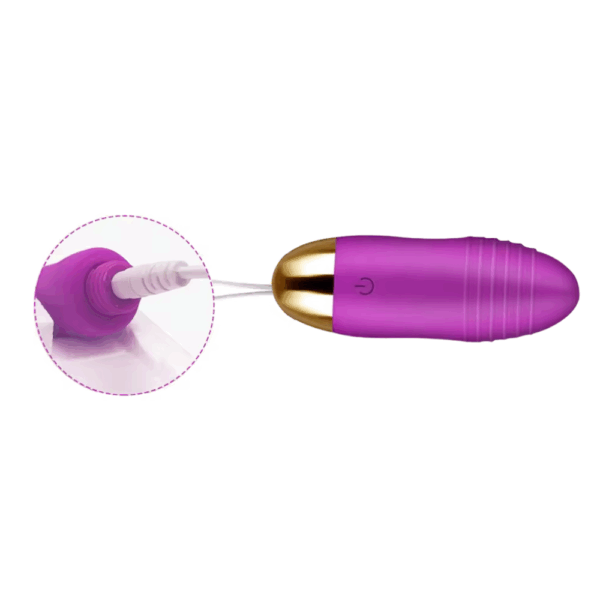 The Remote Control Egg Vibrator – Velvet Pulse shown with a charging cord inserted into the silicone base, with a magnified view highlighting the secure port.