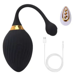 Complete black Veloura love egg set including the egg, teardrop-shaped remote, and USB charging cable laid out on a white background.