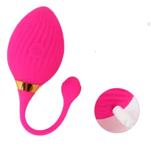 Close-up of the Veloura vibrator with focus on its USB charging port, paired with a small inset showing the plug inserted into the silicone casing.